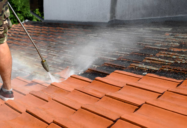 Best House Pressure Washing  in Calera, OK